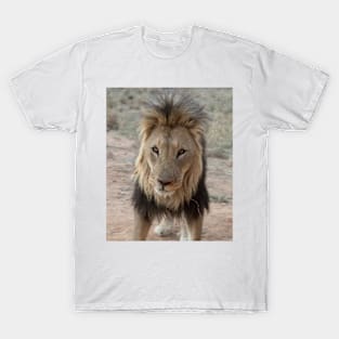 Portrait of a lion T-Shirt